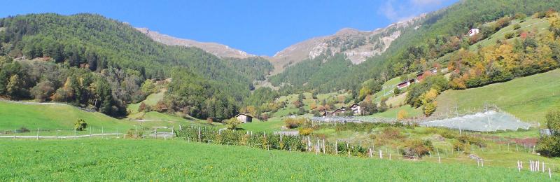 Martelltal
