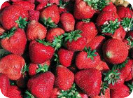 ferienparadies latsch martell, edelweiss martell, urlaub martell, wanderurlaub s�dtirol